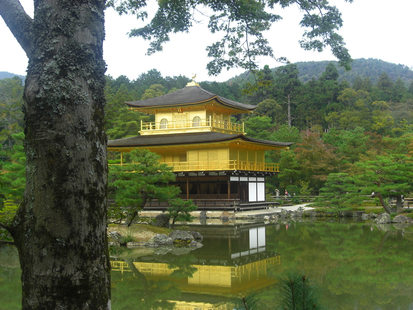 京都 旅行とカメラ 時々英語をマイペースに楽しむ ゆるーいブログ