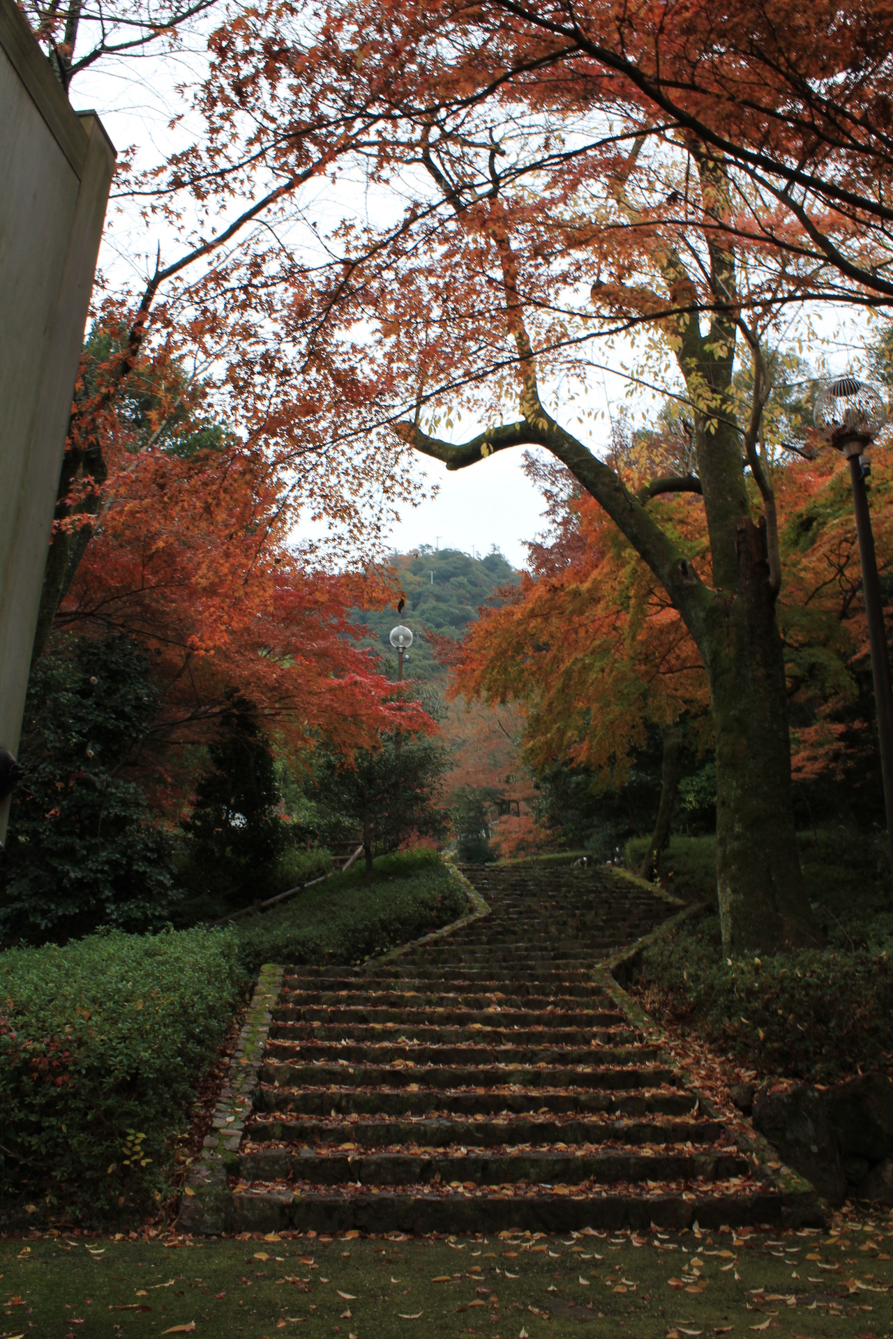 小旅行 岐阜県岐阜市 岐阜公園 秋 紅葉シーズン 旅行とカメラ 時々英語をマイペースに楽しむ ゆるーいブログ